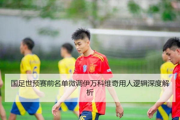国足世预赛前名单微调伊万科维奇用人逻辑深度解析