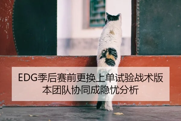 EDG季后赛前更换上单试验战术版本团队协同成隐忧分析